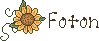 snfwbt1p.gif snfwbt1p.gif