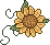 snfwcl1i.gif snfwcl1i.gif
