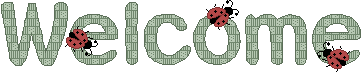 2.93kb